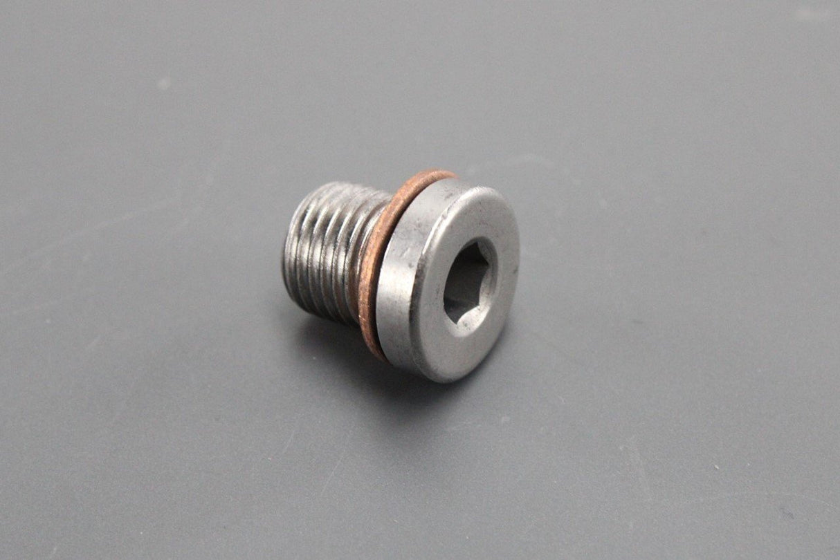 VW Audi Skoda SEAT seal plug fill/drain bolt with washer (M10) N90281802