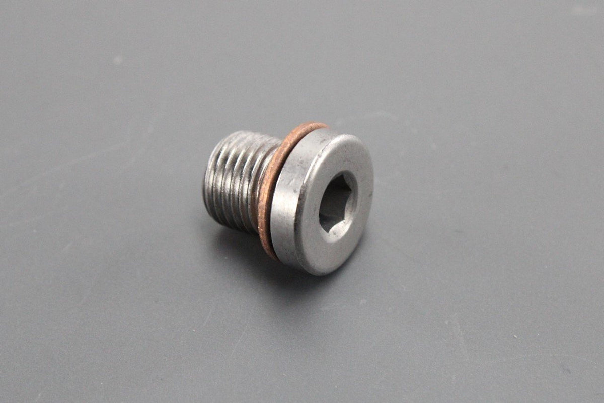 VW Audi Skoda SEAT seal plug fill/drain bolt with washer (M10) N90281802, view 1
