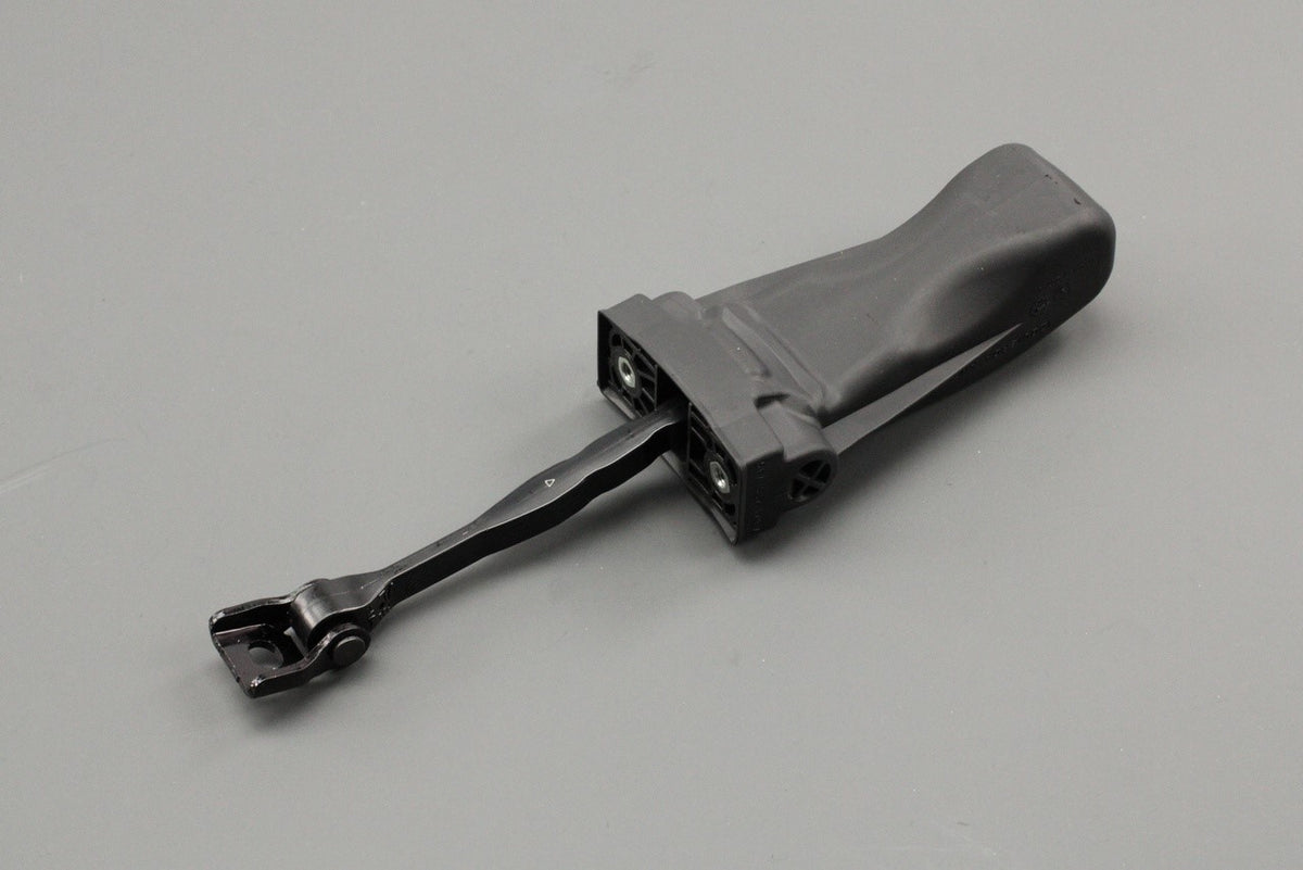 SEAT Leon 2020-on front door check strap 5FA837179A, view 1