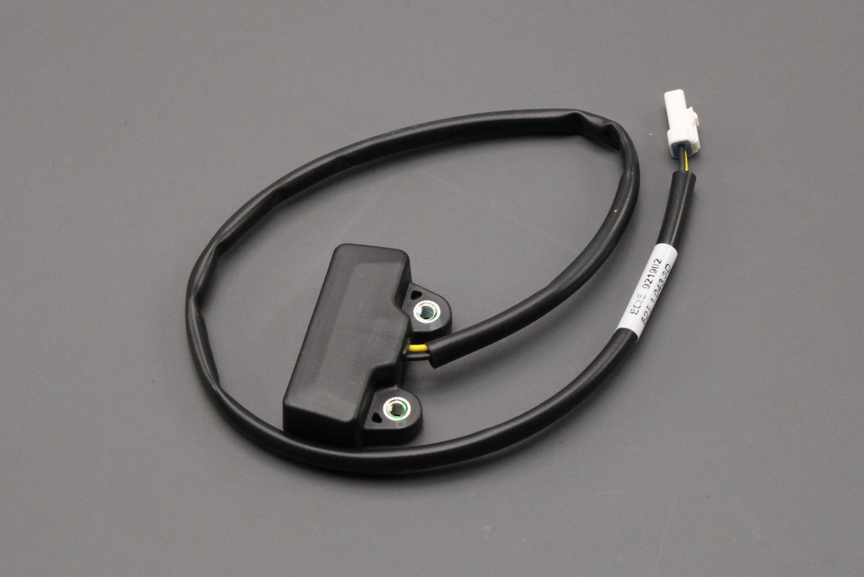 Ducati Multistrada Monster DesertX number plate light 52510433D