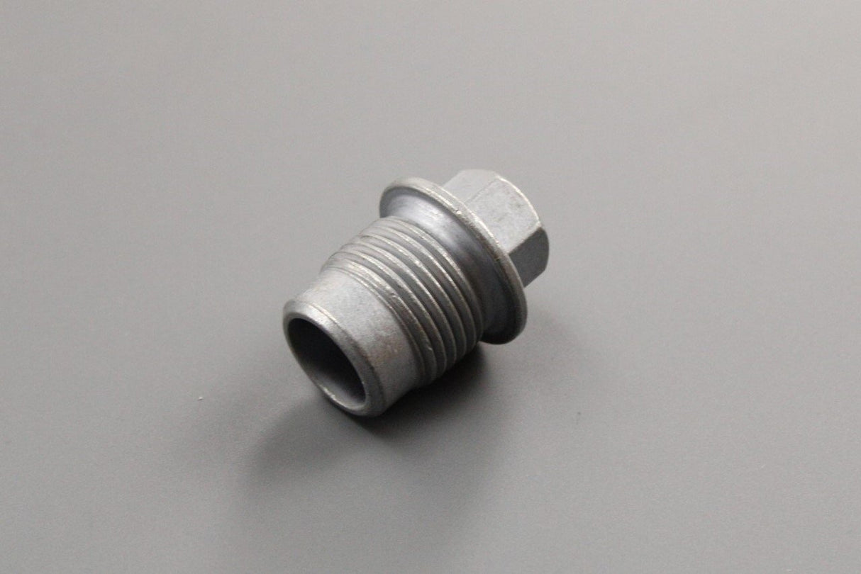 Audi R8 front differential sealing plug (M18 x 1.5) WHT007394