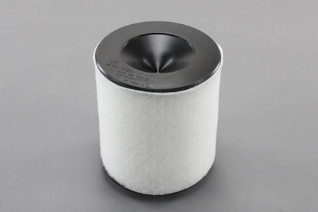 Audi A8 S8 2018-on air filter element 3.0 V6 4.0 V8 4N0129620B