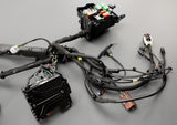 Toyota Proace 2016-on main wiring harness loom SU001-A4880