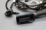 BMW 1' F21 2' F22 F87 door wiring harness (right) 61129340972