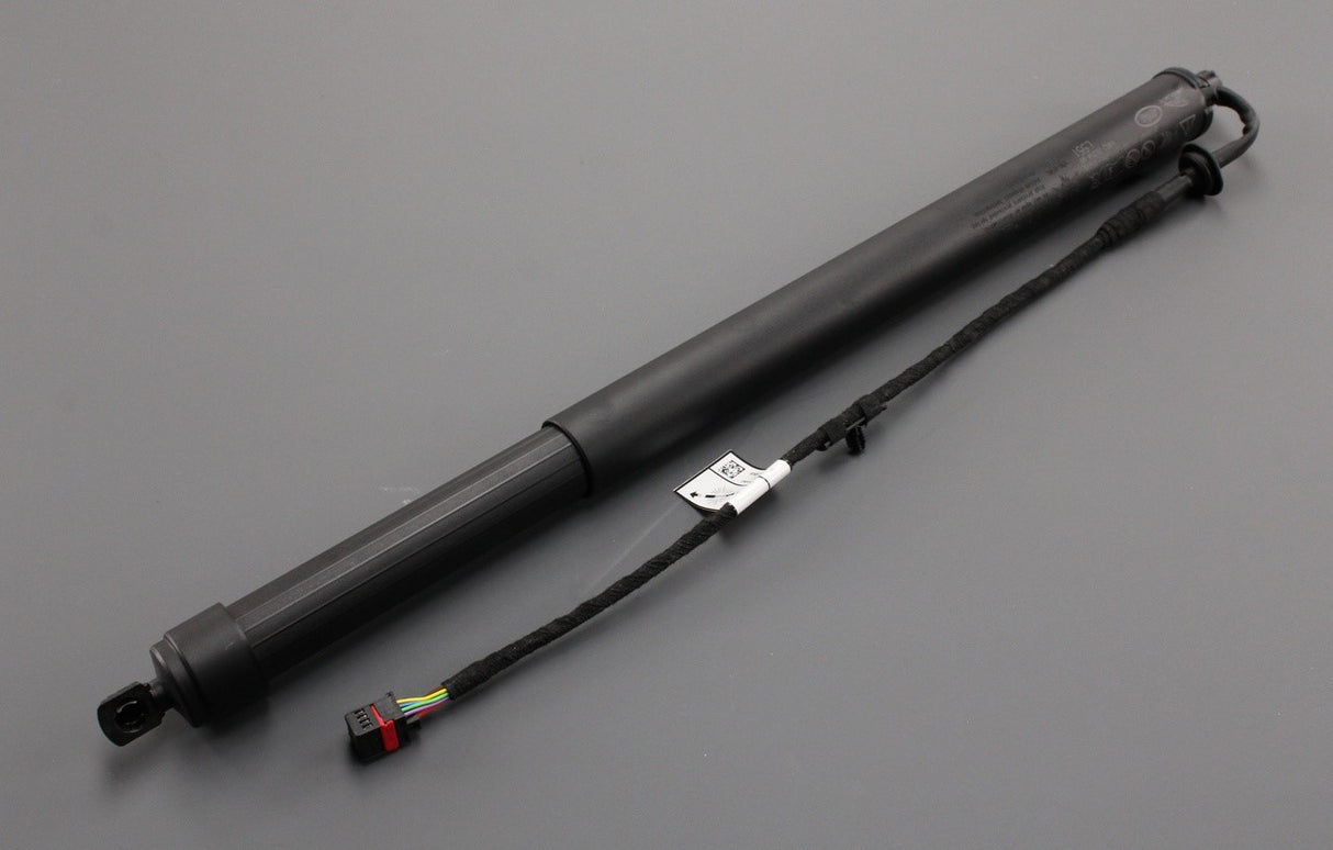 Range Rover Evoque 2019-on electronic tailgate boot strut LR188970