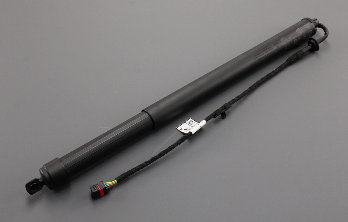 Range Rover Evoque 2019-on electronic tailgate boot strut LR188970, view 1