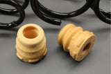 SEAT Ibiza 2018-22 suspension lowering spring kit (25-30mm) ZGBKJ1071681